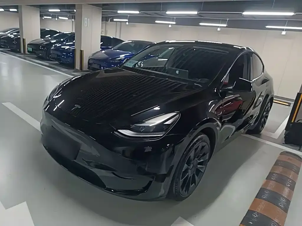 Tesla Model Y — фото 6