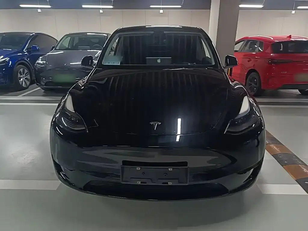 Tesla Model Y — фото 2