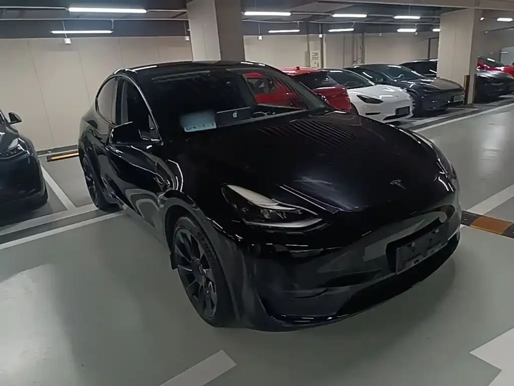 Tesla Model Y — фото 3