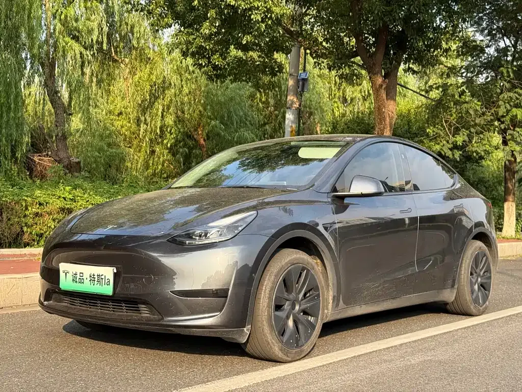 Tesla Model Y — фото 1