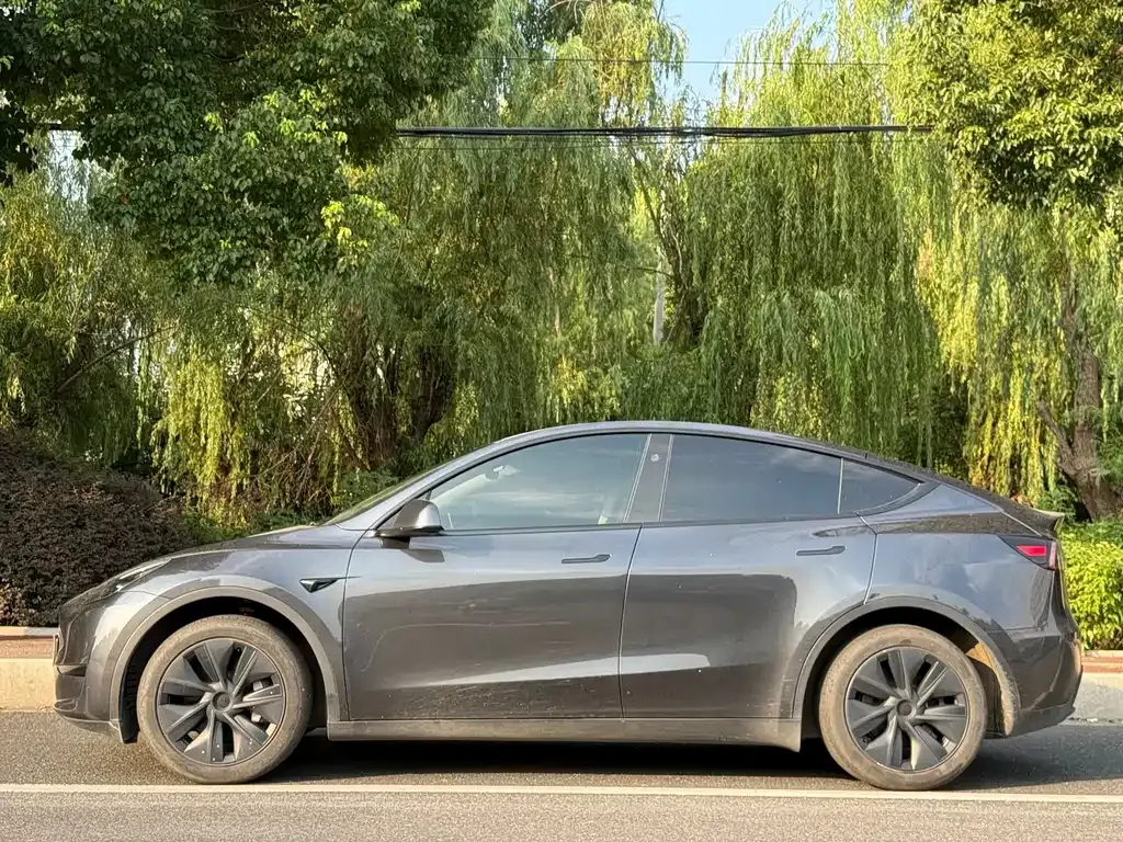 Tesla Model Y — фото 10