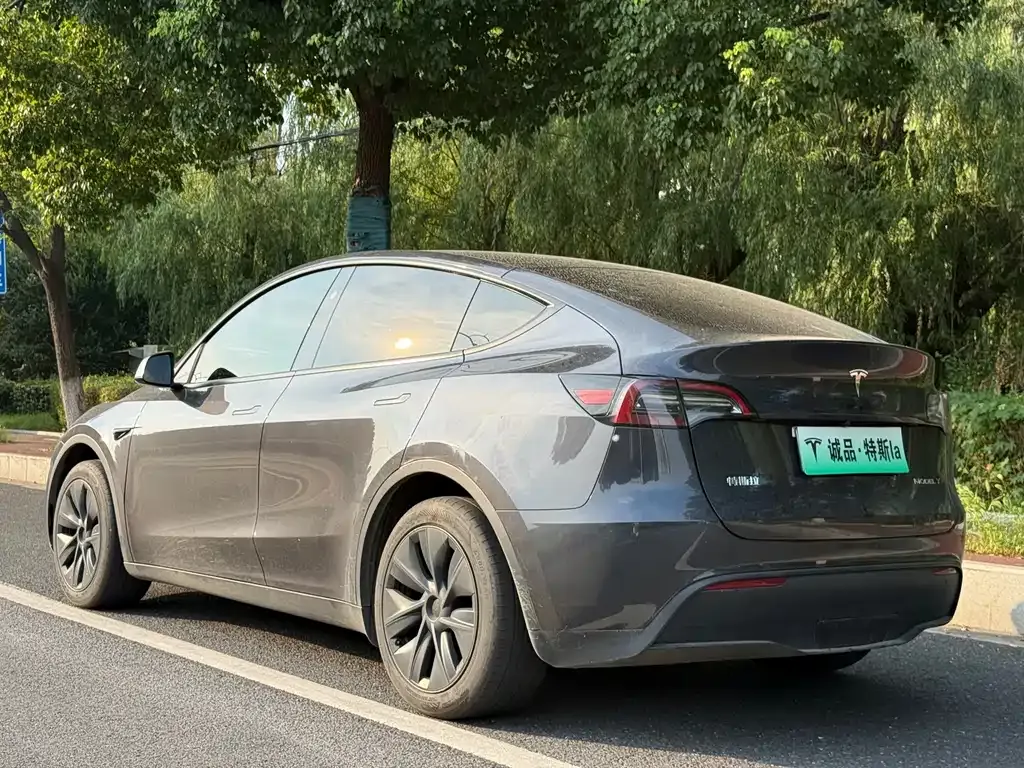 Tesla Model Y — фото 8