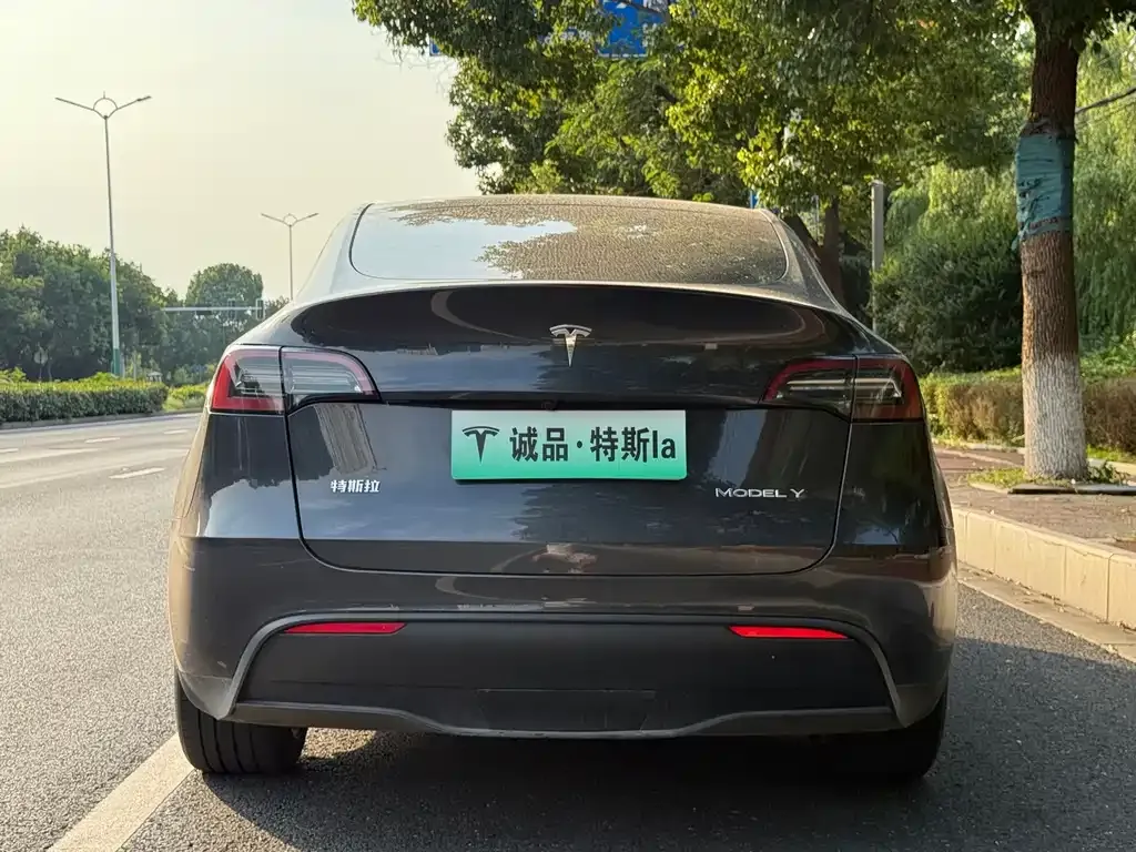 Tesla Model Y — фото 9
