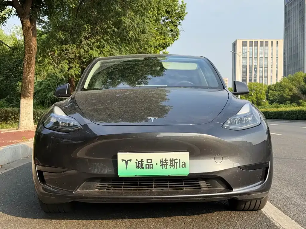Tesla Model Y — фото 5