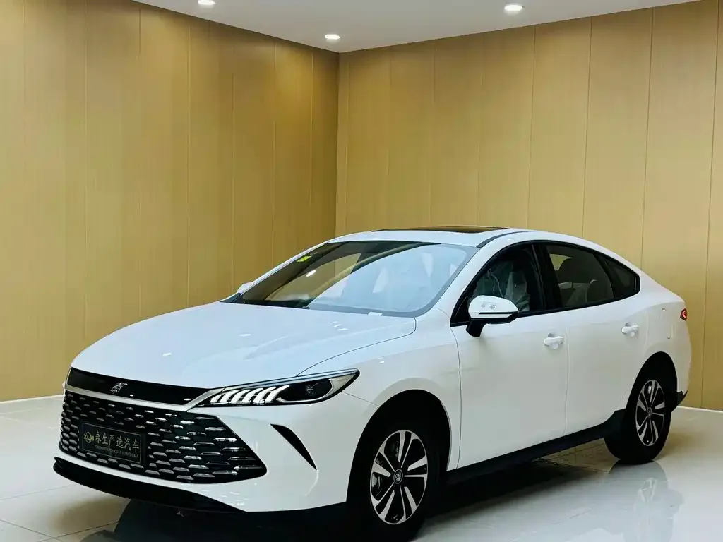 BYD Qin PLUS — фото 1