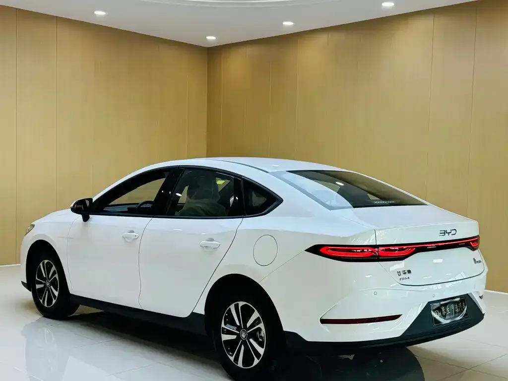 BYD Qin PLUS — фото 10