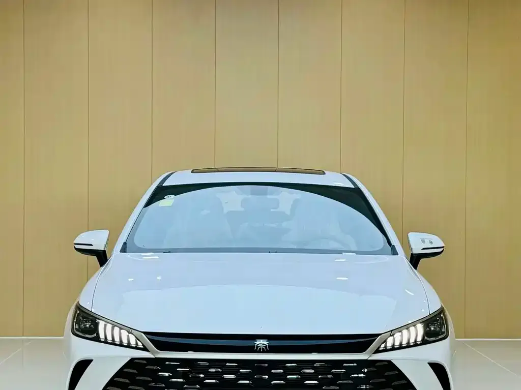 BYD Qin PLUS — фото 2