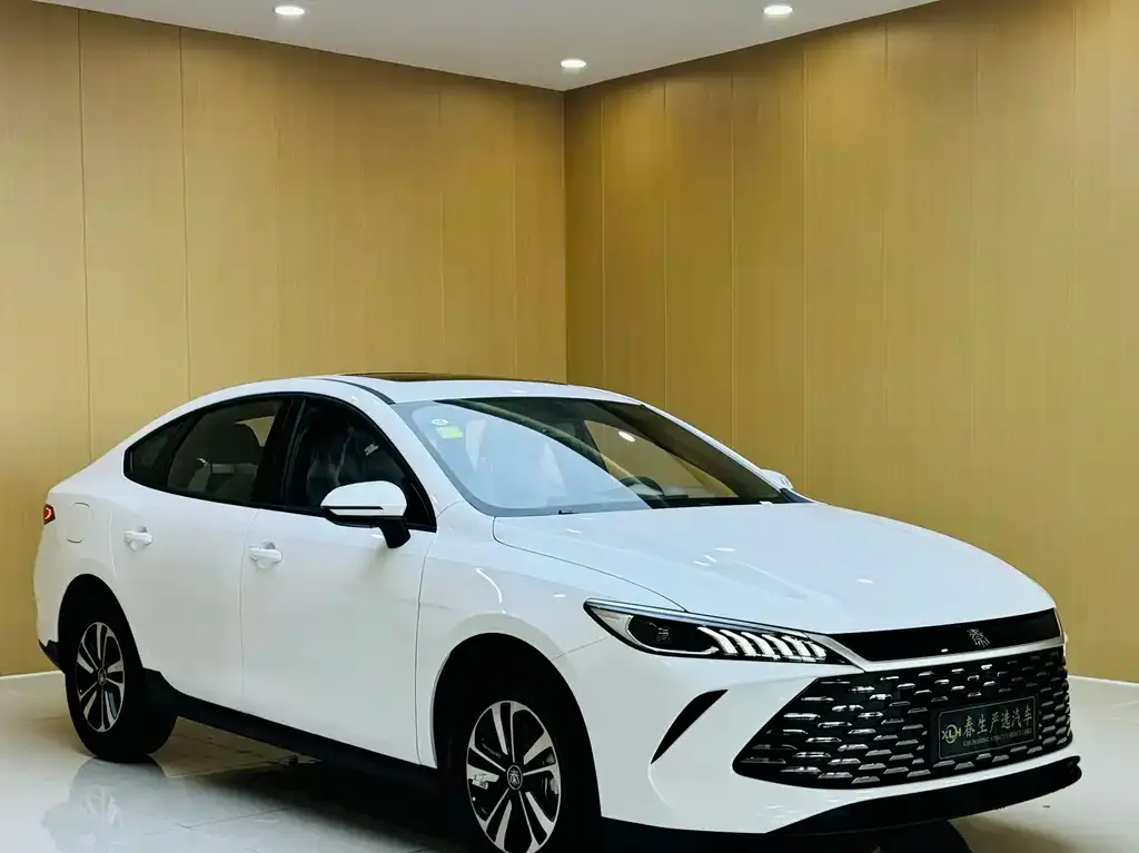BYD Qin PLUS — фото 3