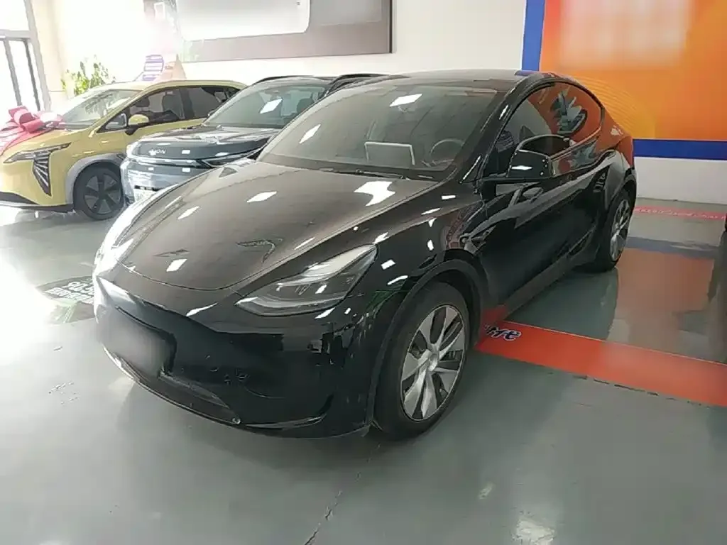 Tesla Model Y — фото 10