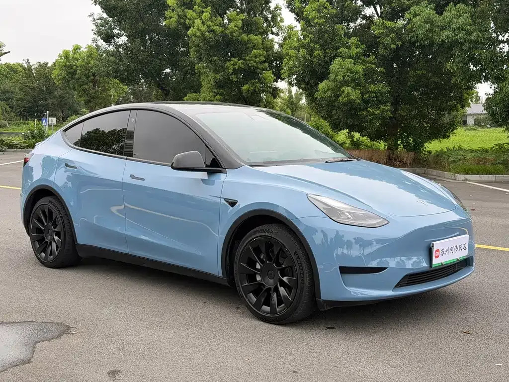 Tesla Model Y — фото 10