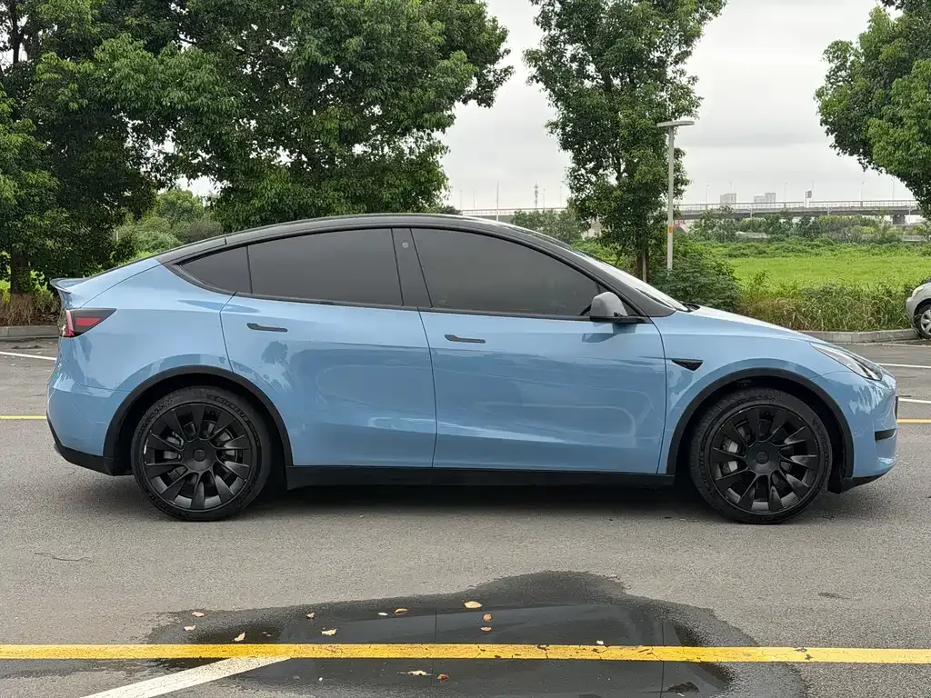 Tesla Model Y — фото 8