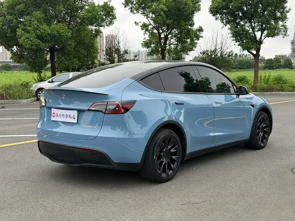 Tesla Model Y — фото 9