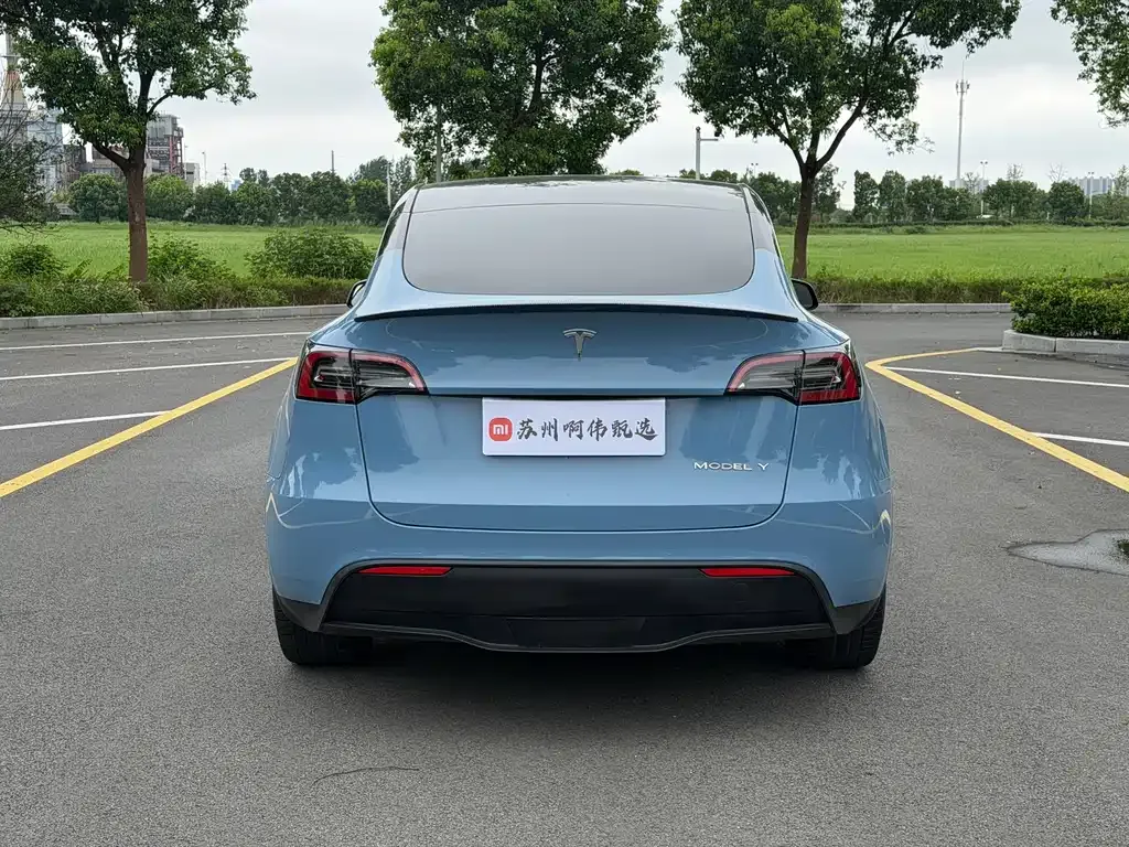 Tesla Model Y — фото 5