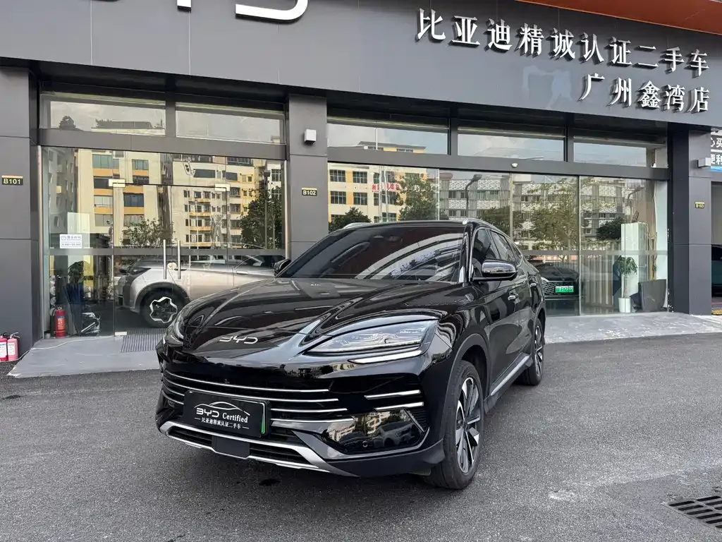 BYD PLUS New Energy — фото 1