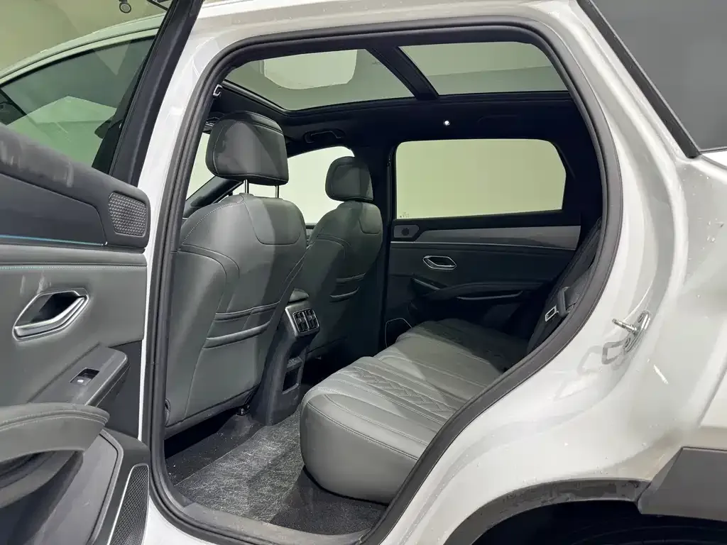 BYD L DM-i — фото 10