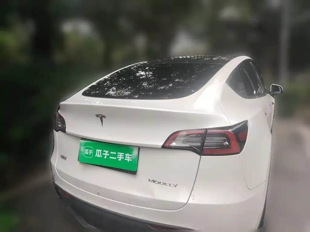 Tesla Model Y — фото 10