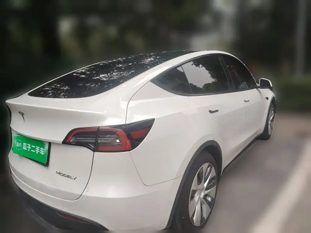 Tesla Model Y — фото 5