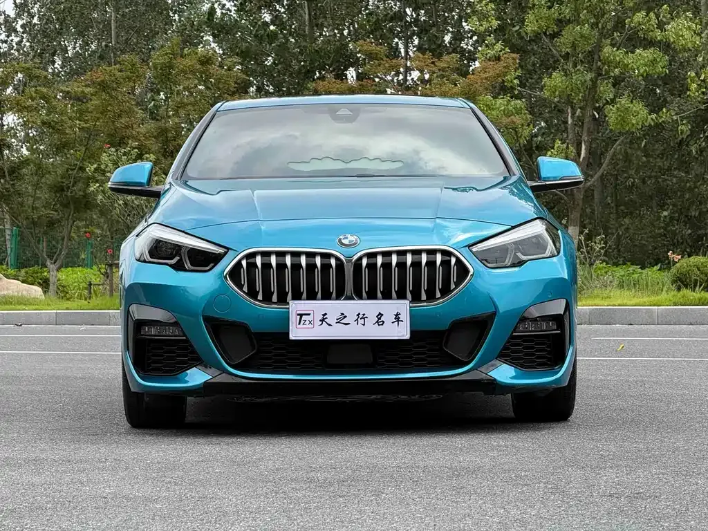 BMW 2 Series (Import) — фото 9