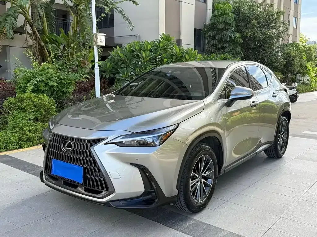 Lexus NX — фото 1