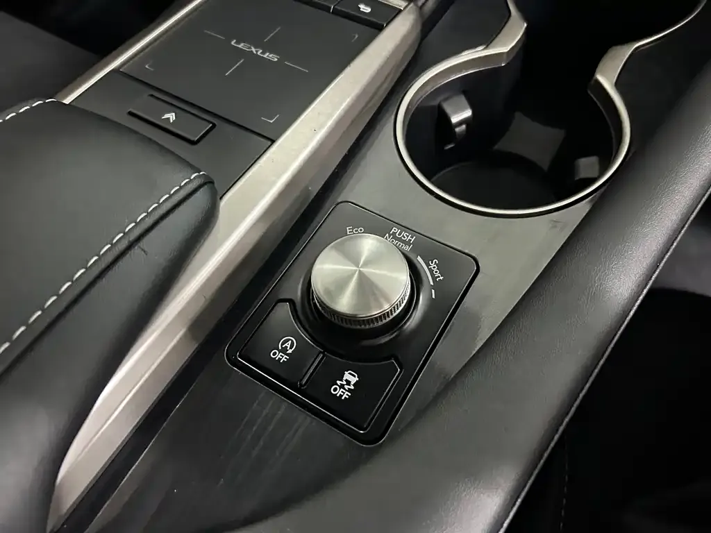 Lexus RX — фото 9