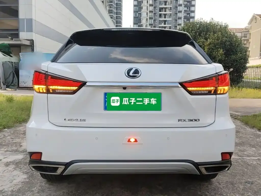 Lexus RX — фото 9