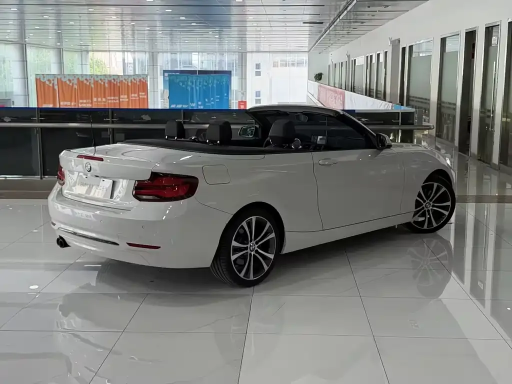 BMW 2 Series (Import) — фото 10