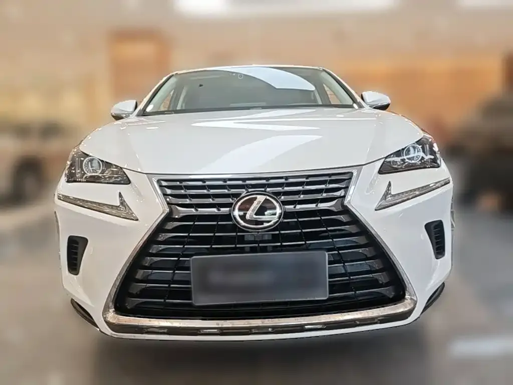 Lexus NX — фото 9
