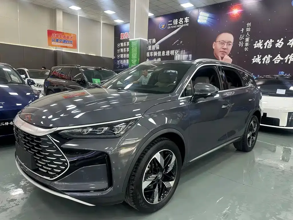 BYD Tang New Energy — фото 1