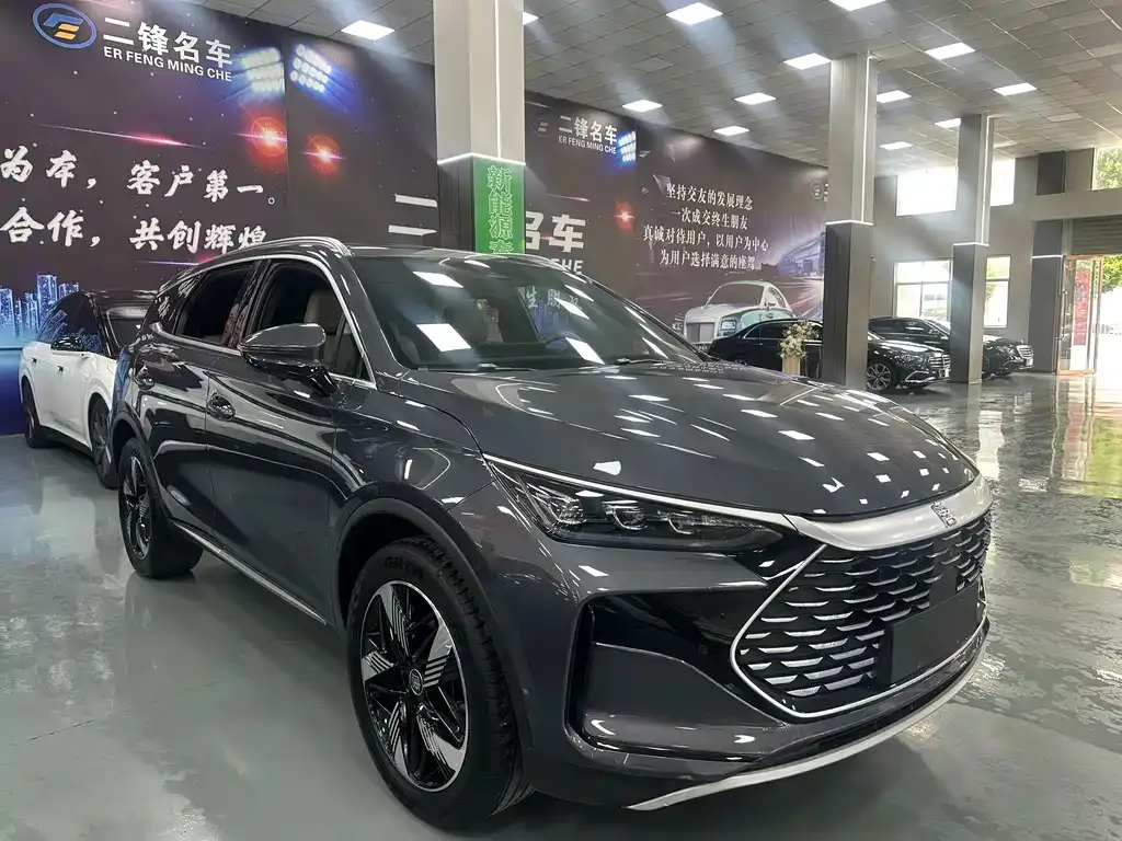 BYD Tang New Energy — фото 6