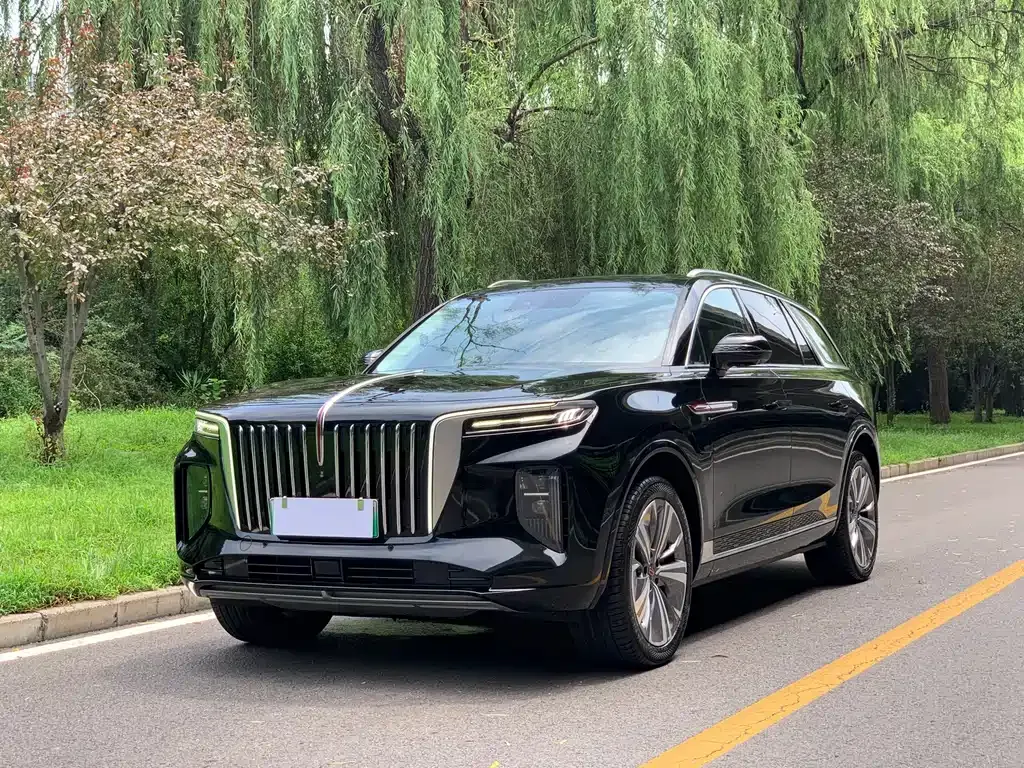 Hongqi E-HS9 — фото 1