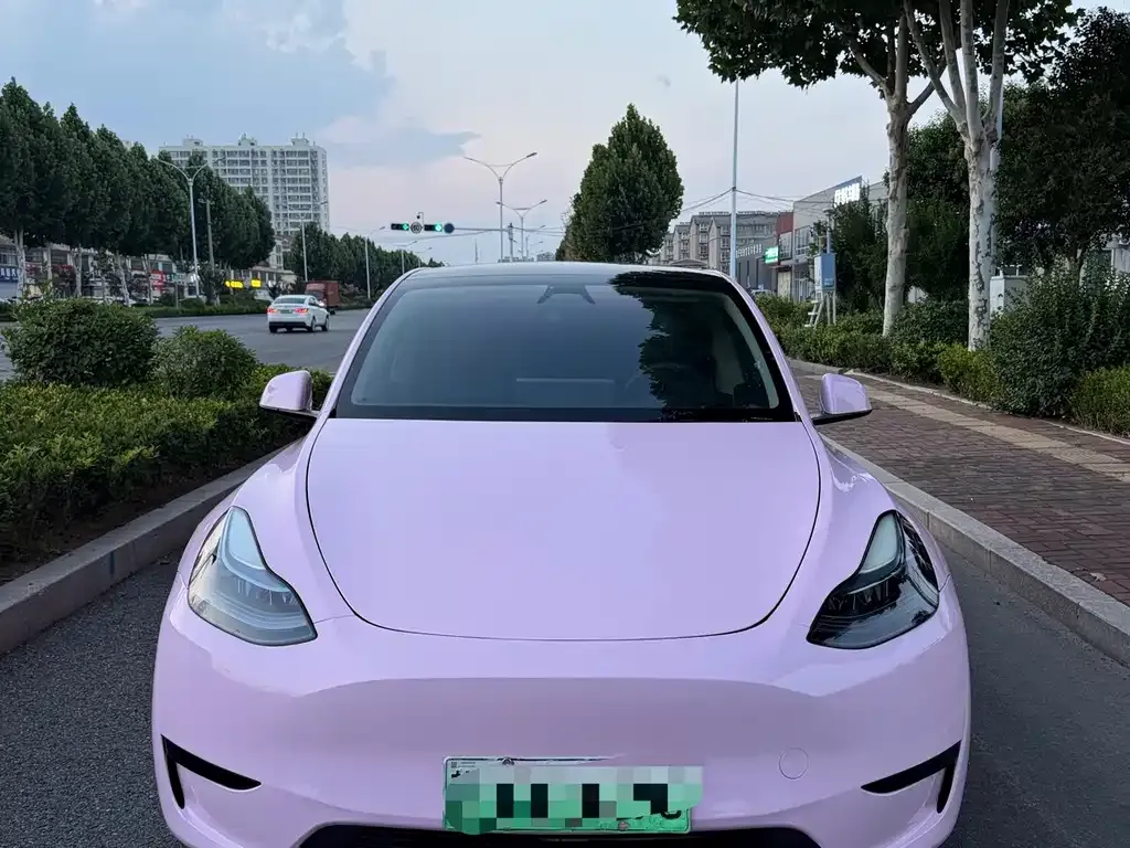 Tesla Model Y — фото 1