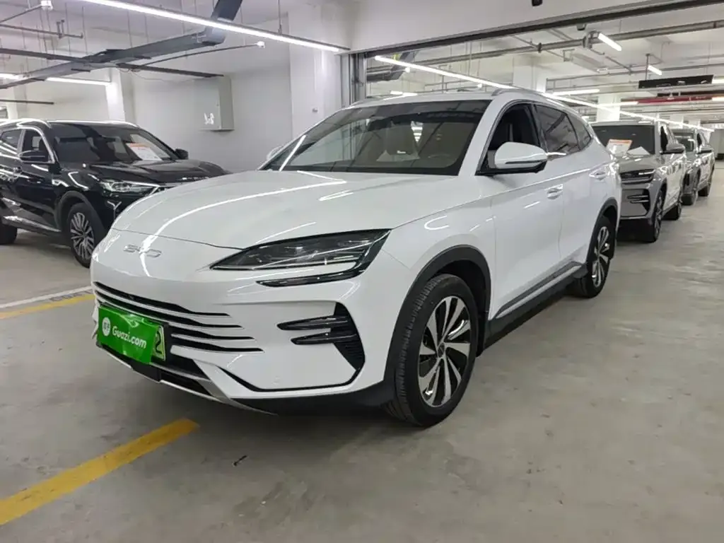 BYD PLUS New Energy — фото 3
