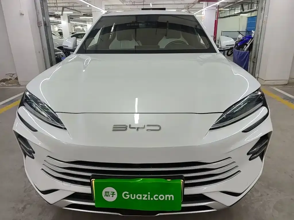 BYD PLUS New Energy — фото 5