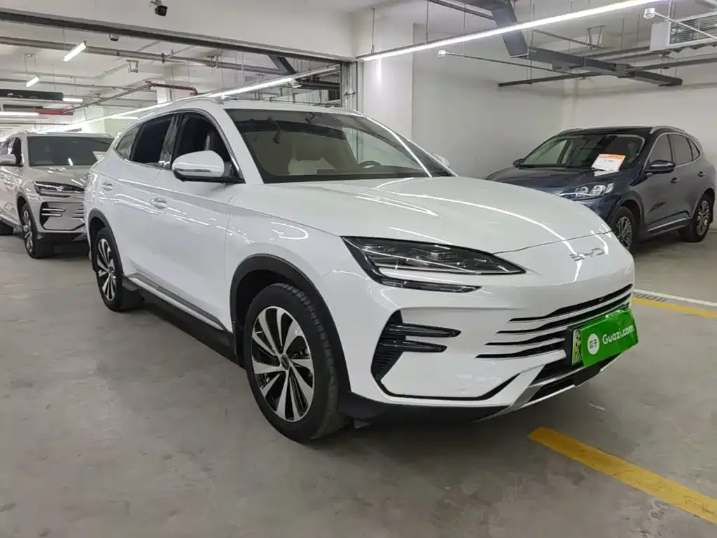 BYD PLUS New Energy — фото 2