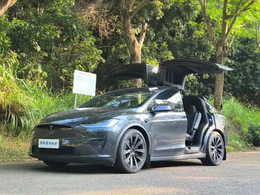 Tesla Model X — фото 1