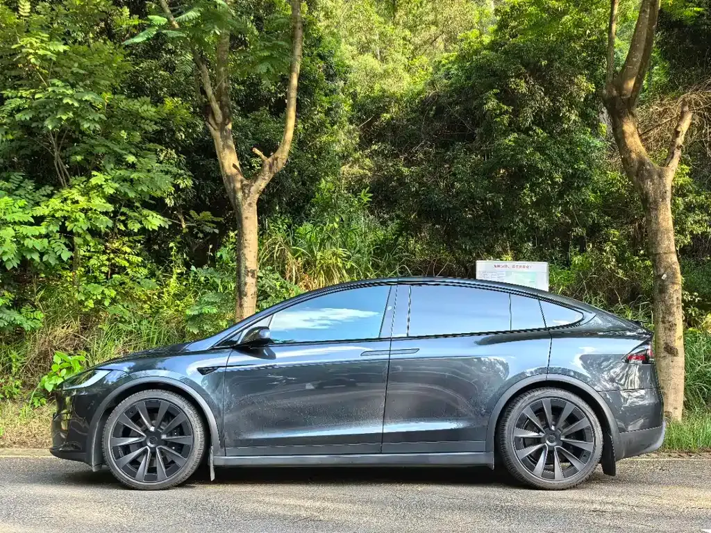 Tesla Model X — фото 5