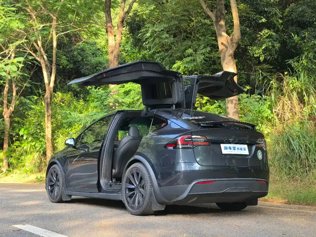 Tesla Model X — фото 4