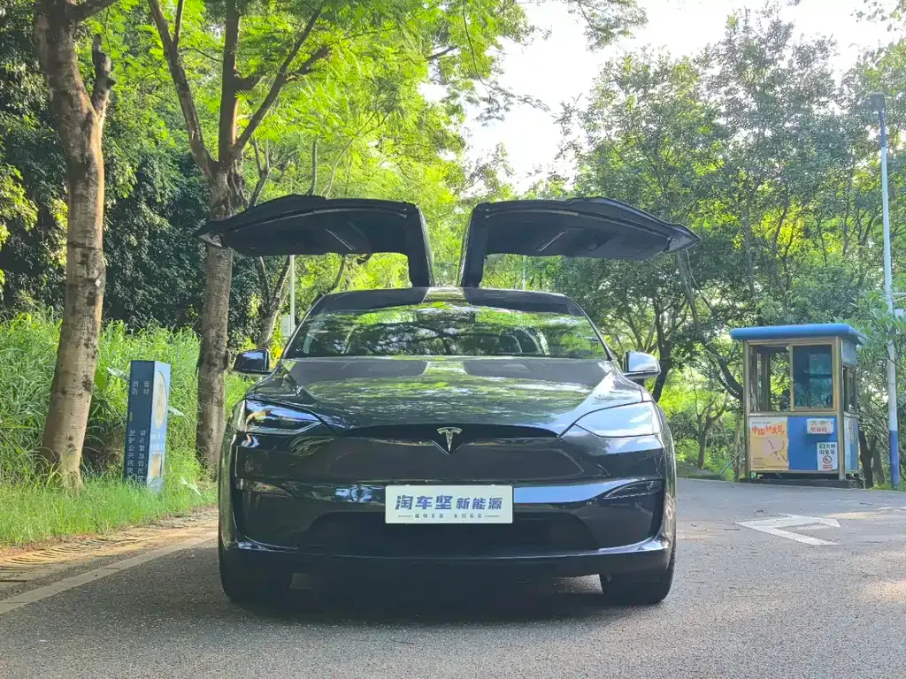 Tesla Model X — фото 7