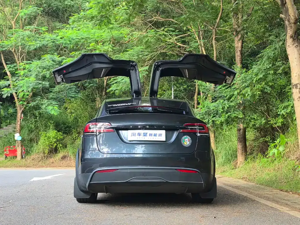 Tesla Model X — фото 8