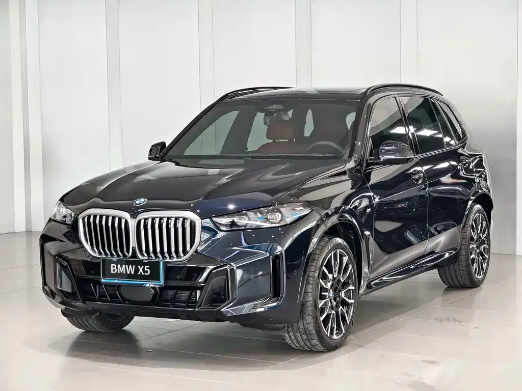 BMW X5 — фото 1
