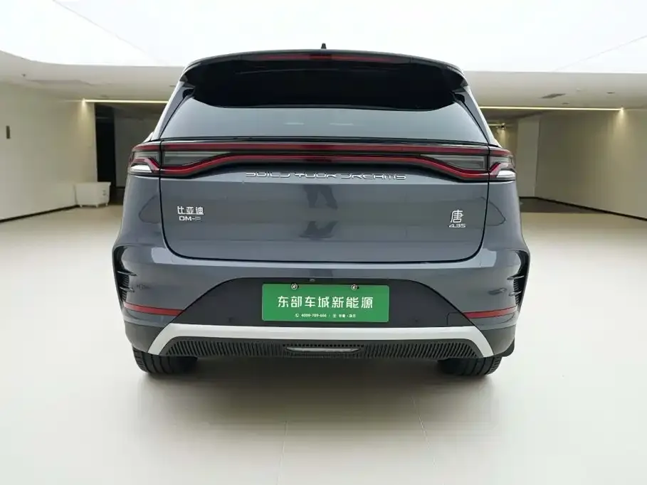 BYD Tang New Energy — фото 2