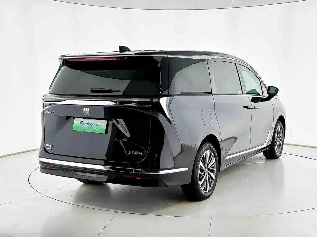 Buick GL8 Hybrid — фото 6