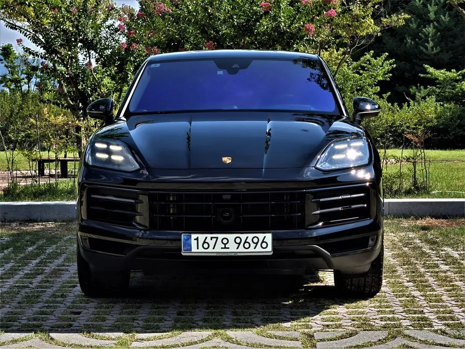 Porsche Cayenne — фото 9