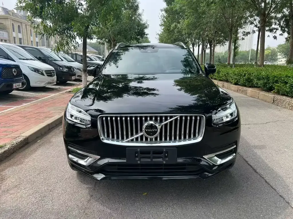 Volvo XC90 — фото 9