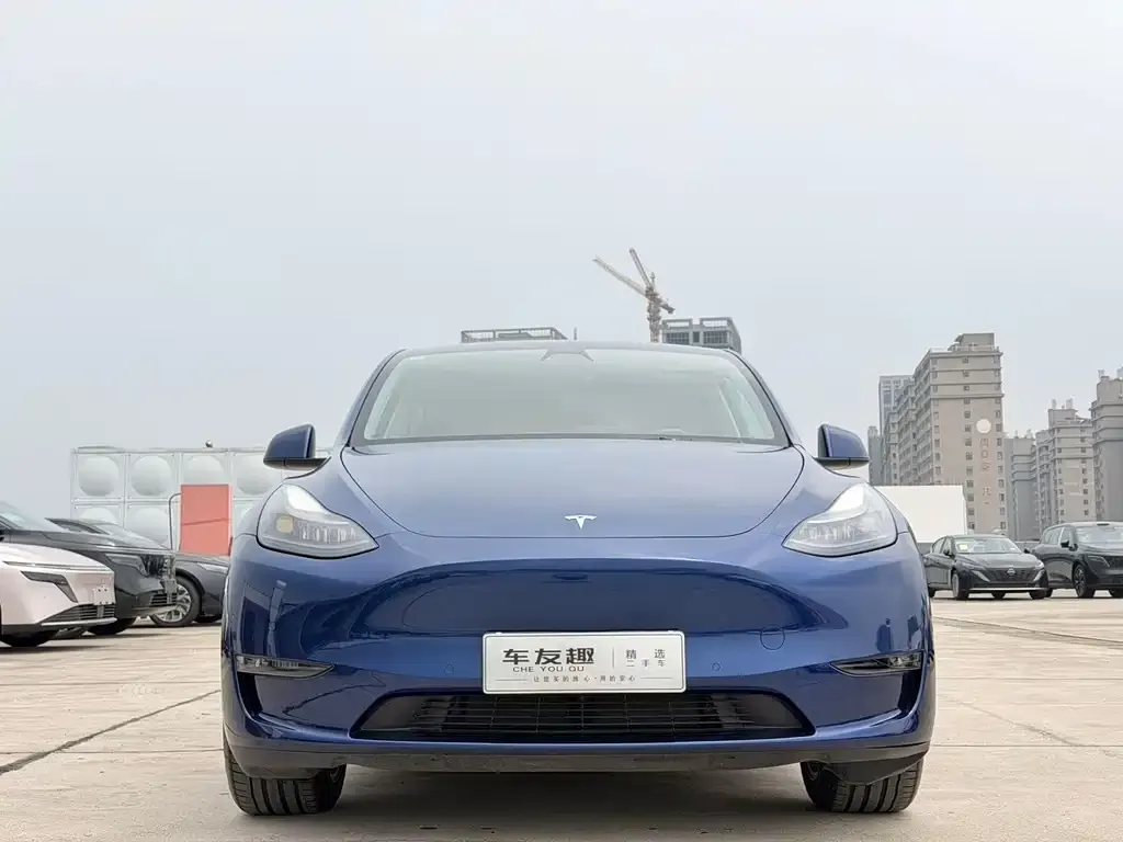 Tesla Model Y — фото 10