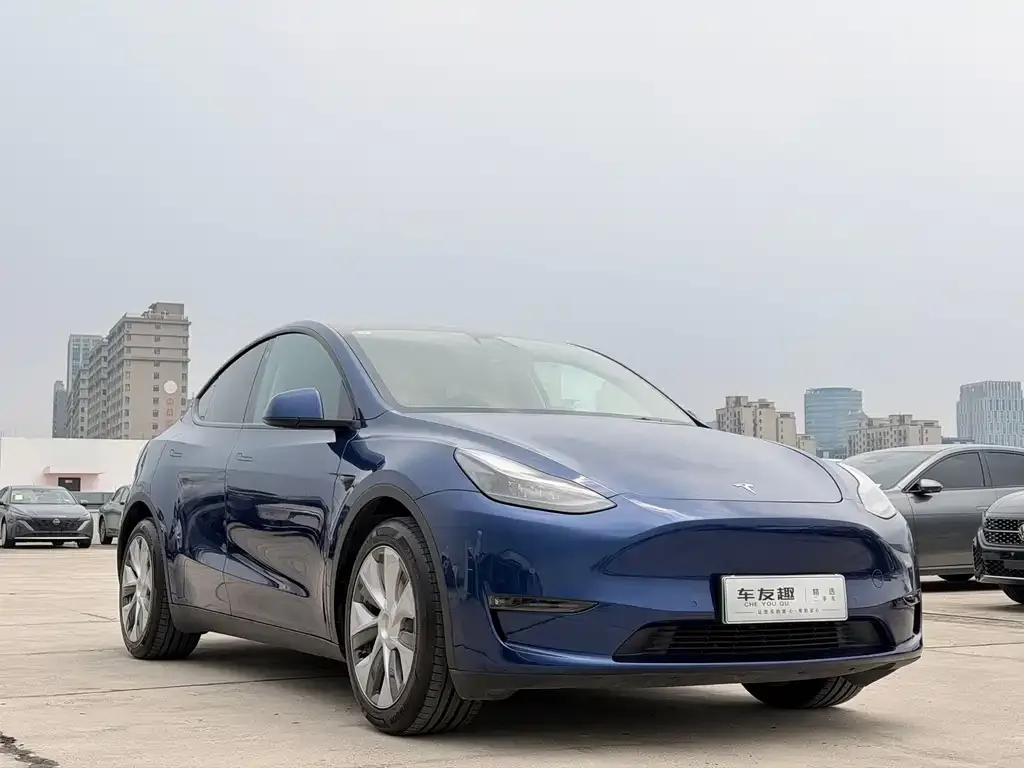 Tesla Model Y — фото 8