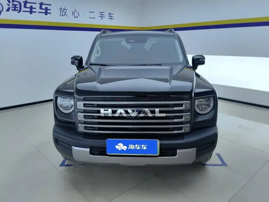 Haval Menglong New Energy — фото 2