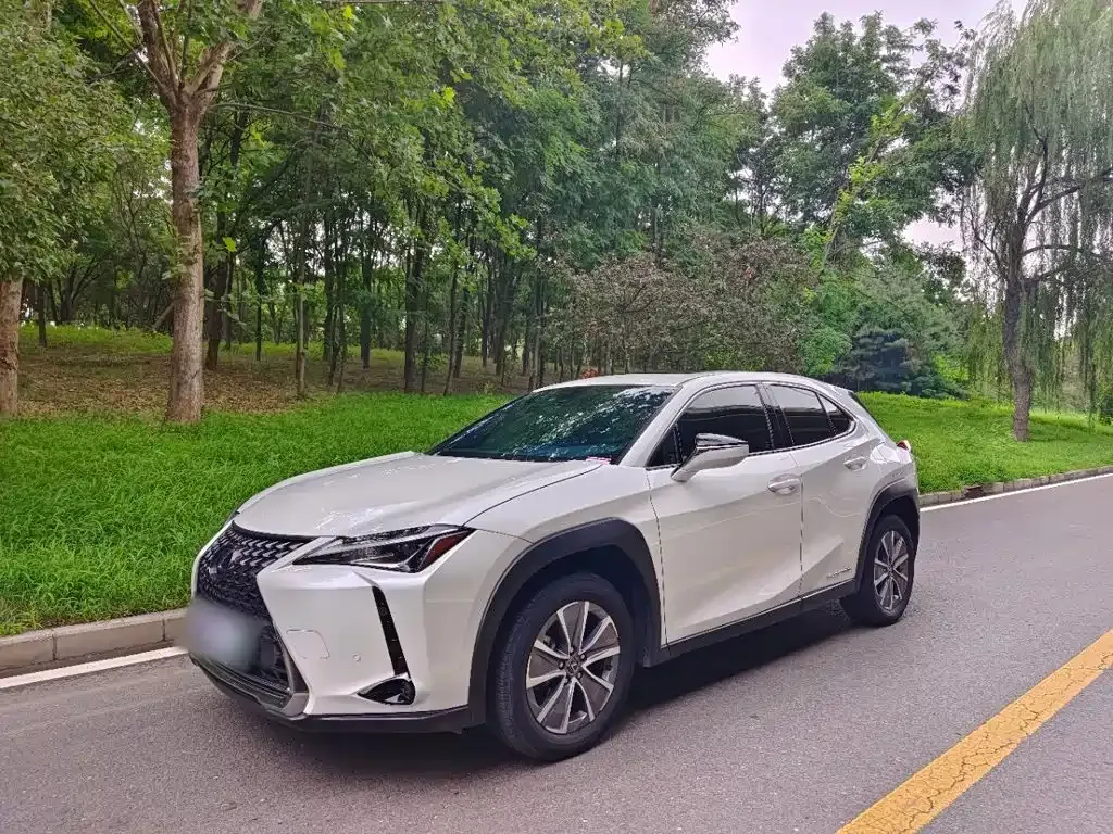 Lexus UX New Energy — фото 7