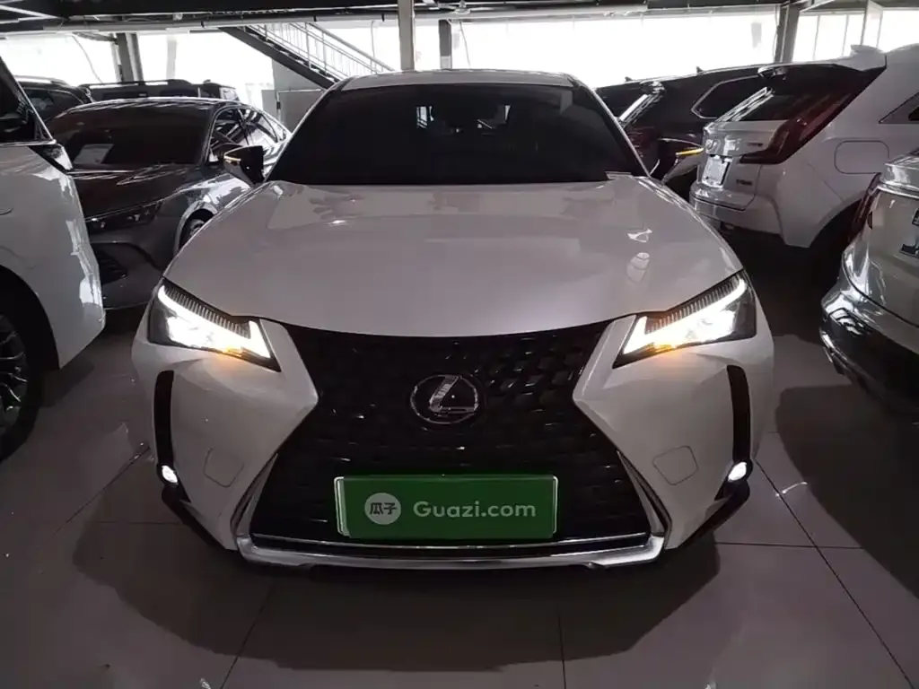 Lexus UX New Energy — фото 2