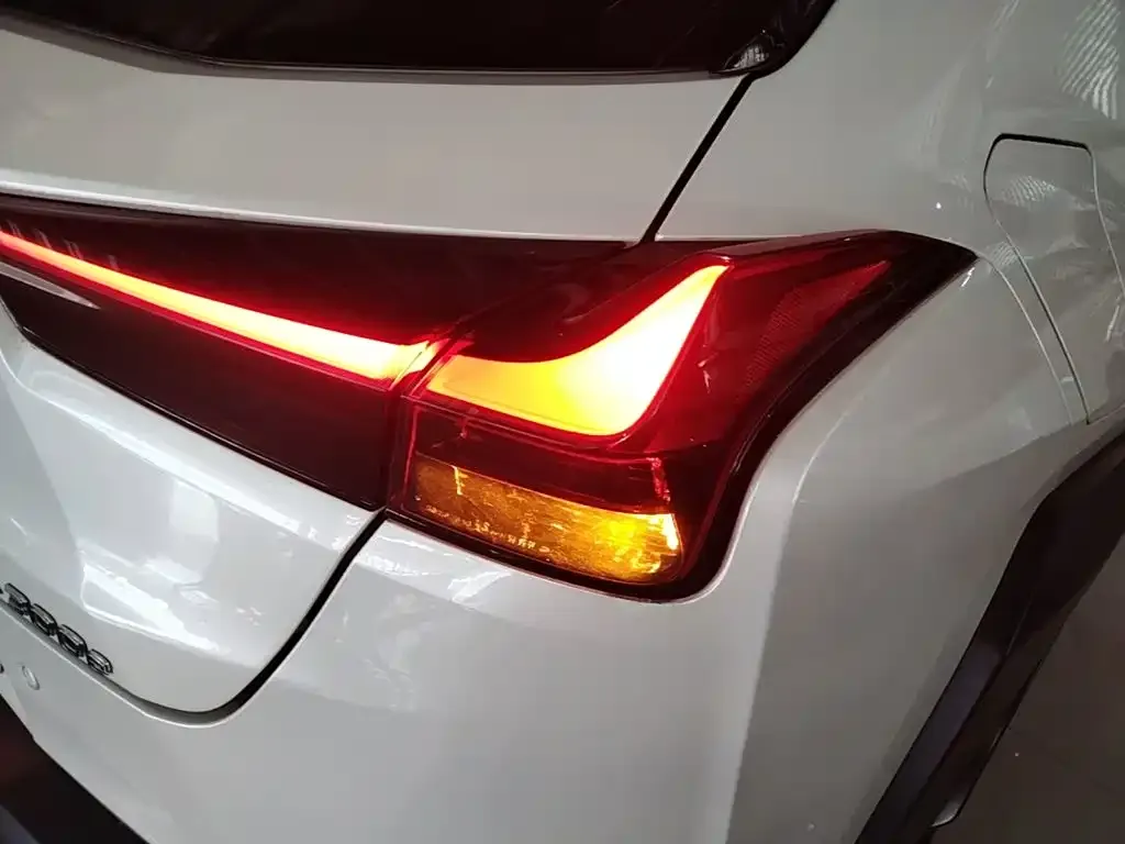 Lexus UX New Energy — фото 10